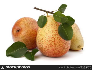 Pear fruits isolated on white background