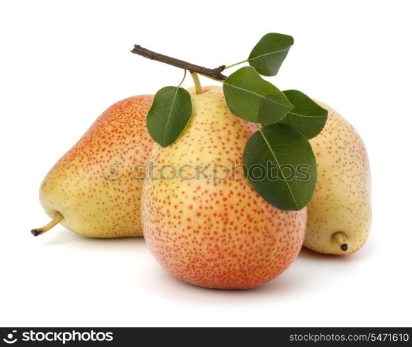 Pear fruits isolated on white background