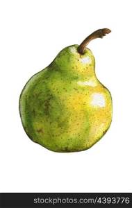 Pear isolated on white. Watercolor illustration
