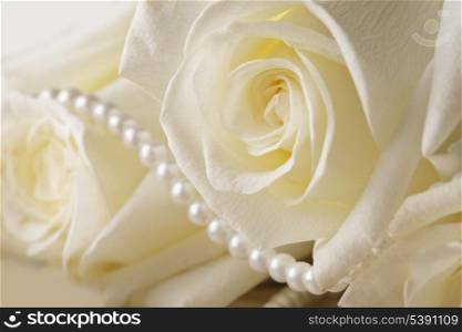 Pearl beads and cream rose on the silk background