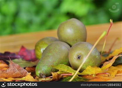 pears with colorful dried autumn leaves on wooden table
