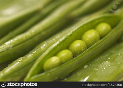Peas in pod, close-up