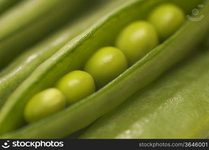 Peas in pod, close-up