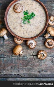 peasant soup with champignon. plate of cream soup from the harvest of fresh autumn mushrooms