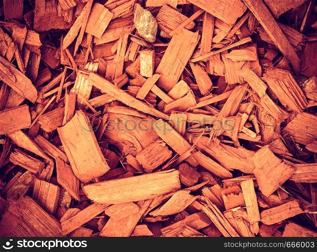 Peat bark brown texture background, many little pieces of wood. Pattern concept.. Peat bark brown texture background,