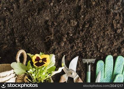 peat pots pansy plant gardening tools gloves soil