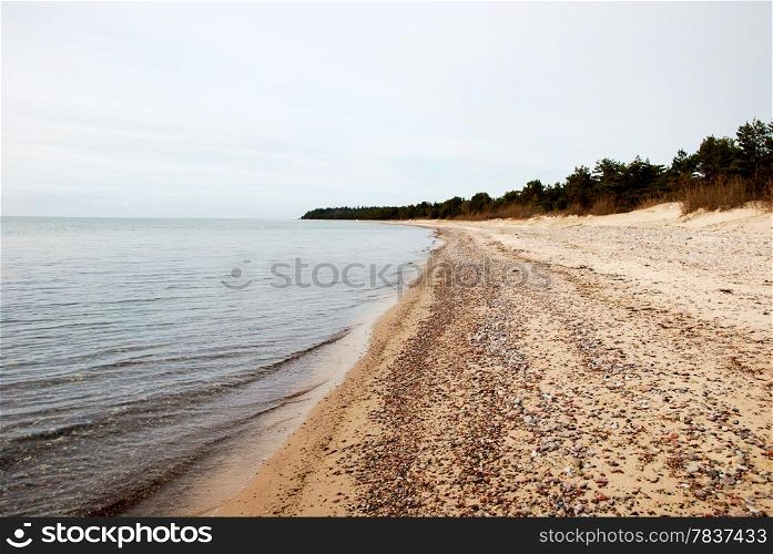 Pebbles at a sandy beach at the swedish island Oland in the Baltic sea