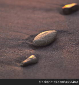 Pebbles in the sand