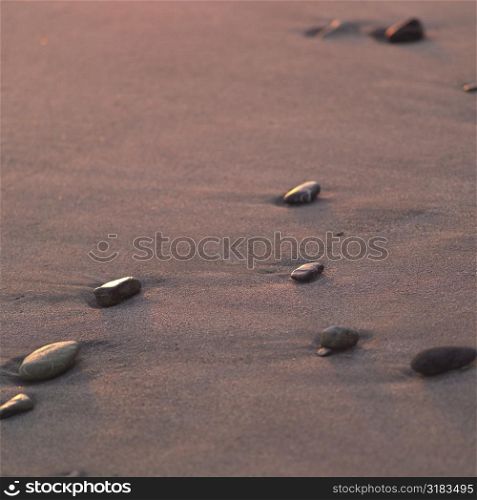 Pebbles in the sand