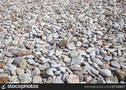 Pebbles on Elberry Cove beach, Devon, England.