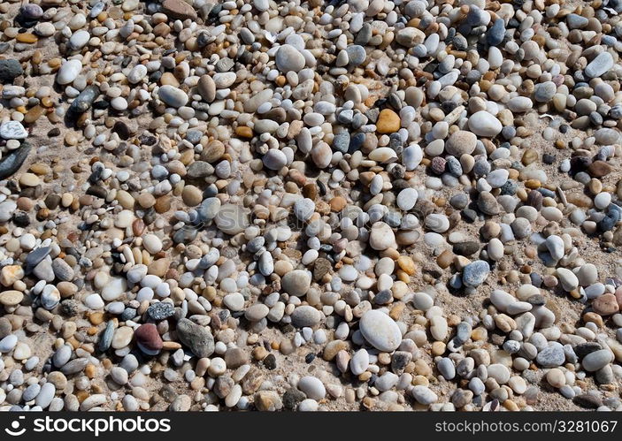 Pebbles on the Hampton shoreline