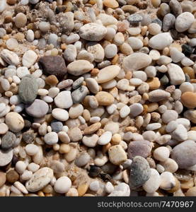 Pebbles on the Hampton shoreline