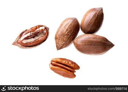 Pecan nuts isolated on white background. Carya illinoinensis