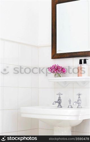 Pedestal Sink in Bathroom