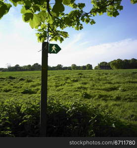 Pedestrian crossing sign in a field