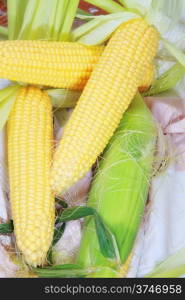 peeled corn on the cob