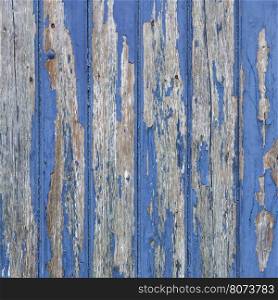 peeling blue paint on vertical planks of wooden door or fence