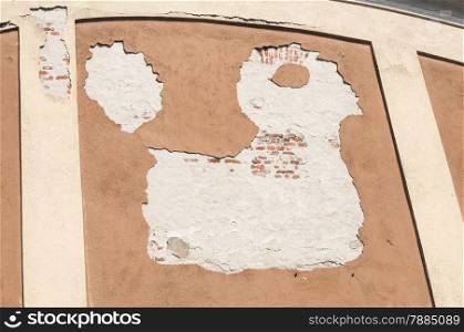 Peeling plaster of weathered plant wall in the shape of chicken