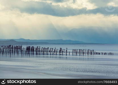 Pelicans on the sea shore