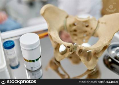 Pelvis anatomical skeleton structure model and pills on table selective focus. Medical education and training at gynecologist office. Pelvis anatomical skeleton structure model and pills on table