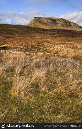 Pen-y-Ghent seen from Pennine Way in Yorkshire Dales National Park