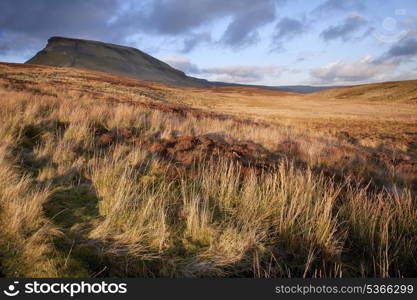 Pen-y-Ghent Yorkshire Dales National Park Autumn evening