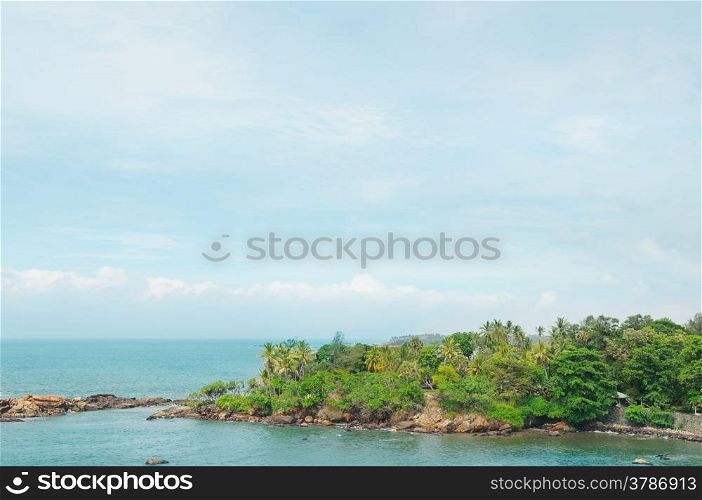 peninsula with tropical palm trees and waterscape