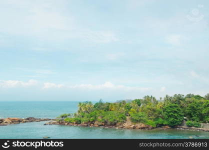 peninsula with tropical palm trees and waterscape