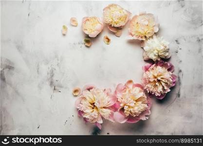 Peony flowers of concrete background. Floral decoration for greeting cards. Peony flowers of concrete background