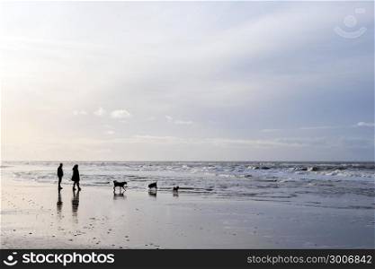 people and dogs stroll on north sea beach in dutch province of north holland on winter day