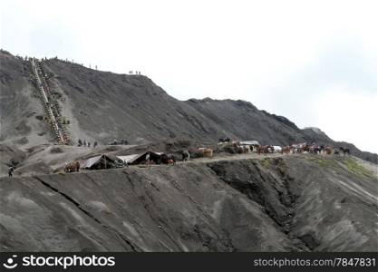People and horses on the volcano Bromo in Indonesia
