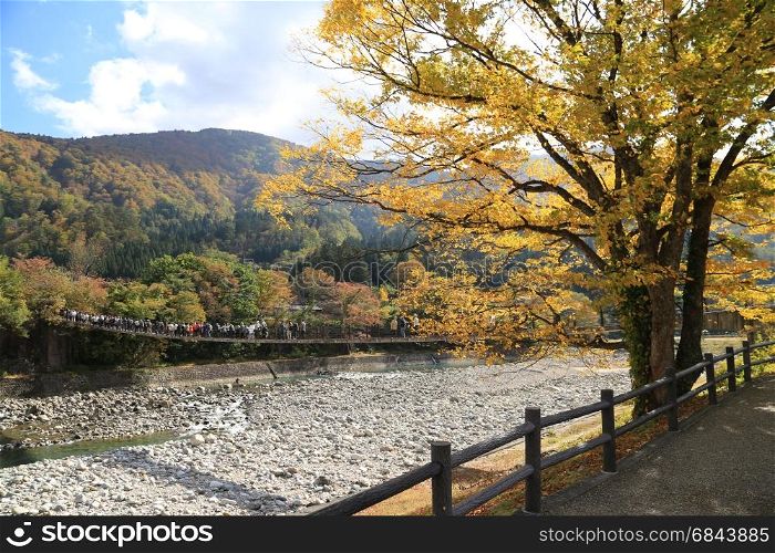 People crossing over a bridge in autumn season, Japan