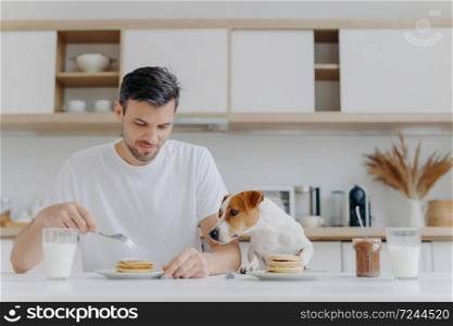 People, food, drink and pets concept. Horizontal shot of handsome young man eats tasty sweet pancakes, his pedigree dog looks with temptation, spend weekend at home, pose against kitchen interior.