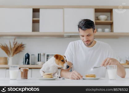 People, food, drink and pets concept. Horizontal shot of handsome young man eats tasty sweet pancakes, his pedigree dog looks with temptation, spend weekend at home, pose against kitchen interior.