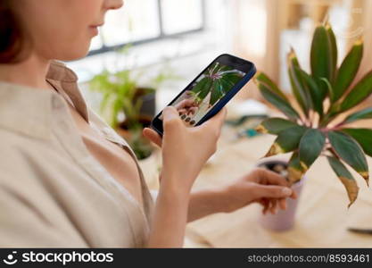 people, gardening and housework concept - happy woman with smartphone photographing pot flowers at home. woman with smartphone photographing pot flowers