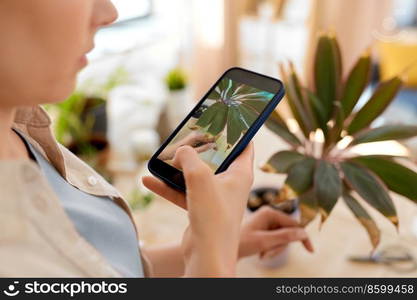 people, gardening and housework concept - happy woman with smartphone photographing pot flowers at home. woman with smartphone photographing pot flowers