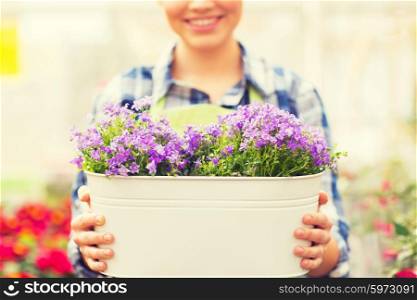 people, gardening and profession concept - happy woman or gardener holding flowers in big pot at greenhouse