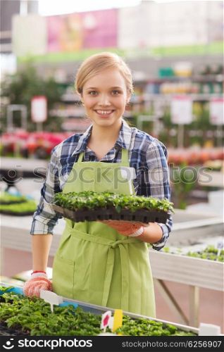 people, gardening and profession concept - happy woman or gardener holding seedling in greenhouse