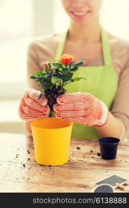 people, gardening, flower planting and profession concept - close up of woman or gardener hands planting roses to flower pot at home