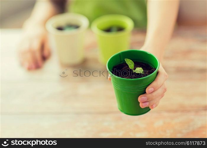 people, gardening, organic, planting and profession concept - close up of woman hand holding pot with sprout