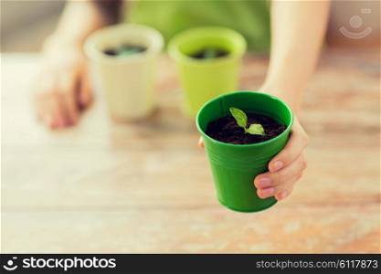 people, gardening, organic, planting and profession concept - close up of woman hand holding pot with sprout