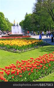 people have a rest in city park with tulips. people have a rest in the city park with beds of tulips in the spring