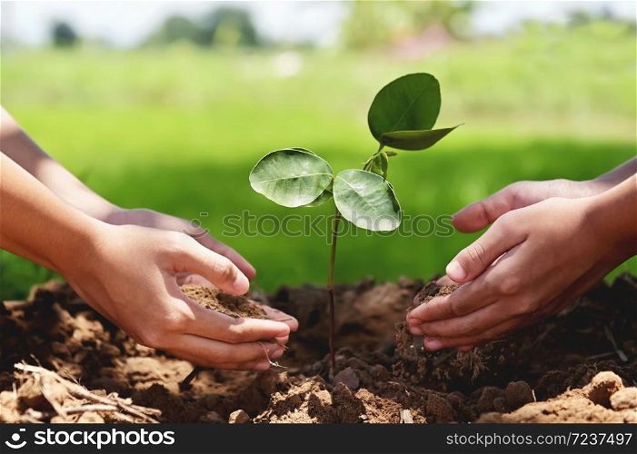 people helping planting tree in nature for save earth. environment eco concept