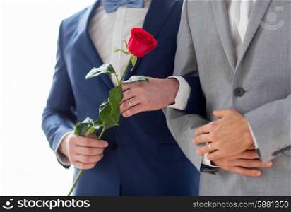 people, homosexuality, same-sex marriage and love concept - close up of happy male gay couple with red rose flower holding hands on wedding