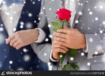 people, homosexuality, same-sex marriage and love concept - close up of happy male gay couple with red rose flower holding hands on wedding over snow effect