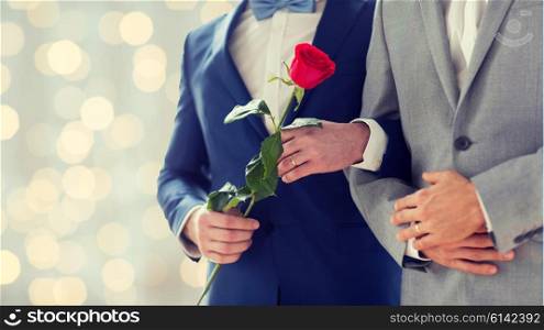 people, homosexuality, same-sex marriage and love concept - close up of happy male gay couple with red rose flower holding hands on wedding holidays lights background