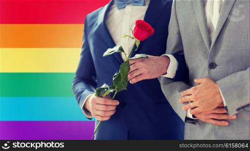people, homosexuality, same-sex marriage and love concept - close up of happy male gay couple with red rose flower holding hands on wedding over rainbow flag background