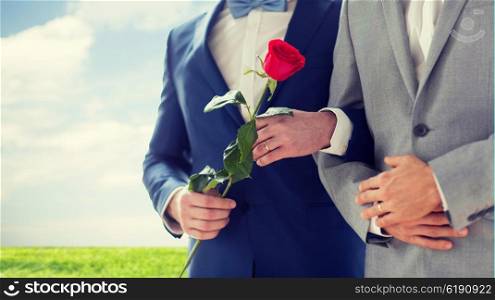 people, homosexuality, same-sex marriage and love concept - close up of happy male gay couple with red rose flower holding hands on wedding over blue sky and grass background