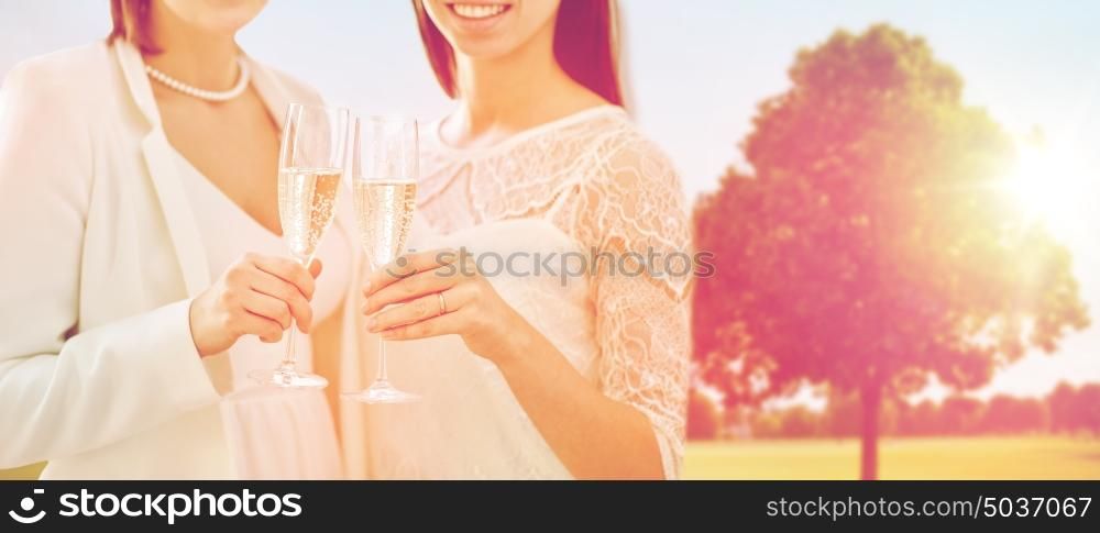 people, homosexuality, same-sex marriage, celebration and love concept - close up of happy married lesbian couple holding and clinking champagne glasses over oak tree at summer park background. close up of lesbian couple with champagne glasses