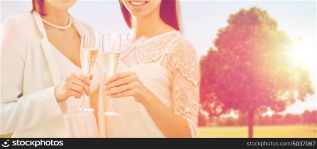 people, homosexuality, same-sex marriage, celebration and love concept - close up of happy married lesbian couple holding and clinking champagne glasses over oak tree at summer park background. close up of lesbian couple with champagne glasses